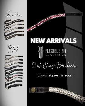 New Arrivals Browband
