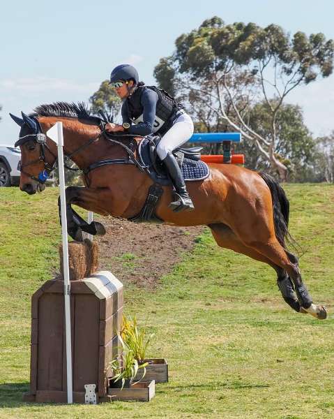 Versatile Horse Gear That Works for Every Rider and Horse