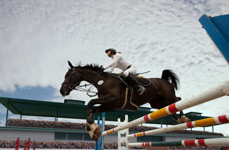 7 Essential Leather Care Steps to Extend the Lifespan of Your Premium Equestrian Tack