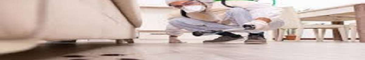 Cockroach Control Canberra Banner