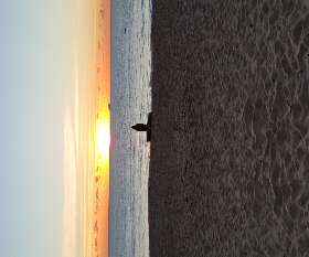 thebeachplace.com.au