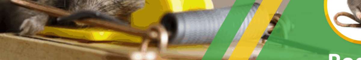 Real Rodent Control Adelaide Banner