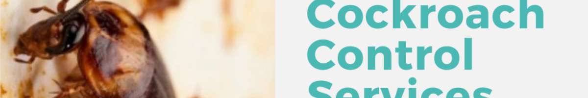 Best Pest Control Canberra Banner