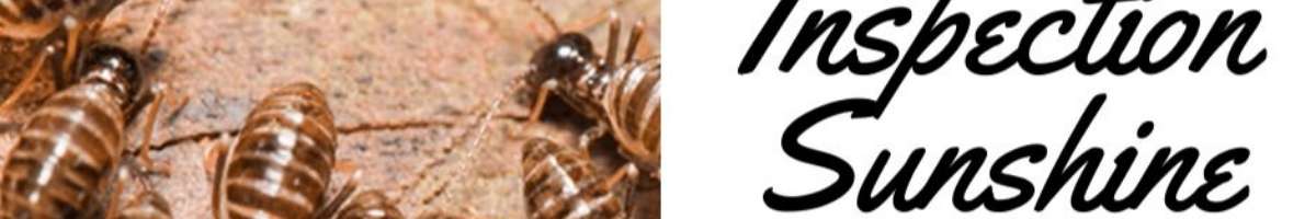 Best Termite Control Sunshine Coast Banner
