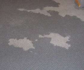 Flood Damage Restoration Penrith