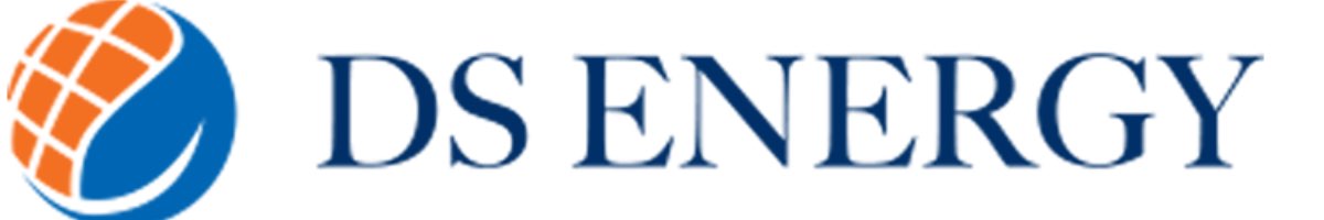 DS Energy Banner