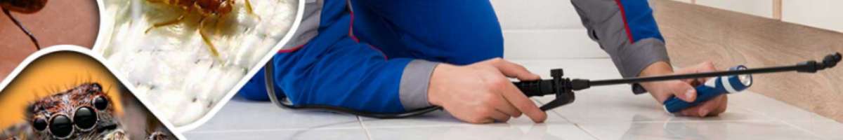 Pest Control Brisbane Banner