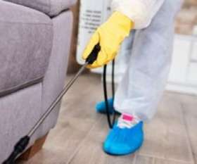 Pest Control Brisbane