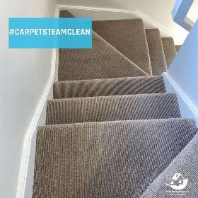 Carpet steam clean by #1 house cleaning service in Homebush | Clean Australia Service