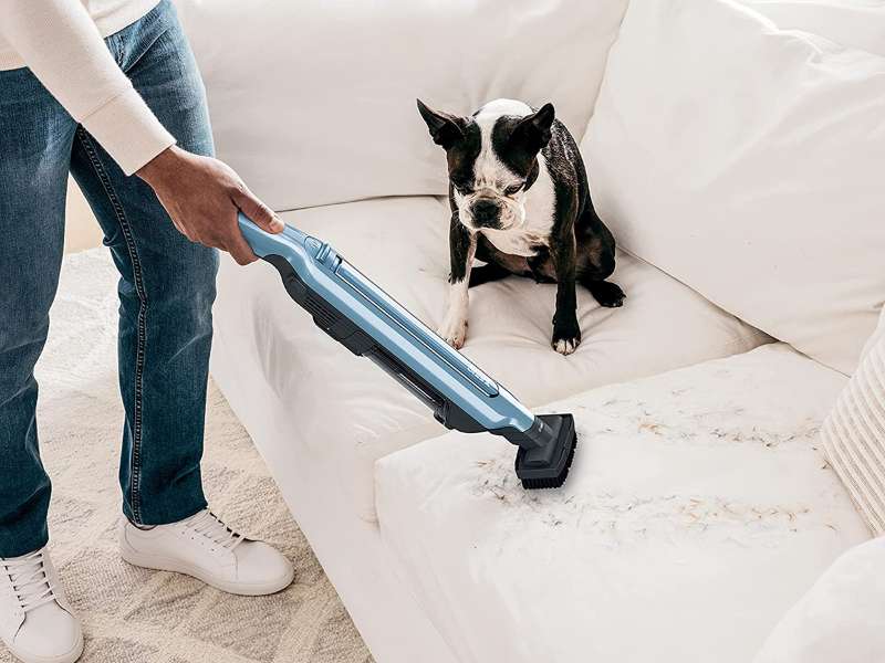 Why House Cleaning Service Should Be Pet-Friendly