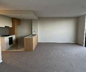 Professional Carpet Steam Cleaning Service in Sydney