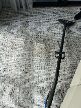 Coffee stain removal with carpet steam cleaning - by Professional Carpet Cleaning Service - Before photo