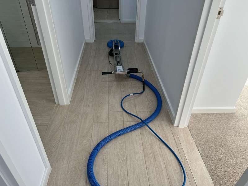 professional apartment cleaning strathfield
