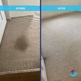 Carpet Steam Cleaning by Clean Australia Service