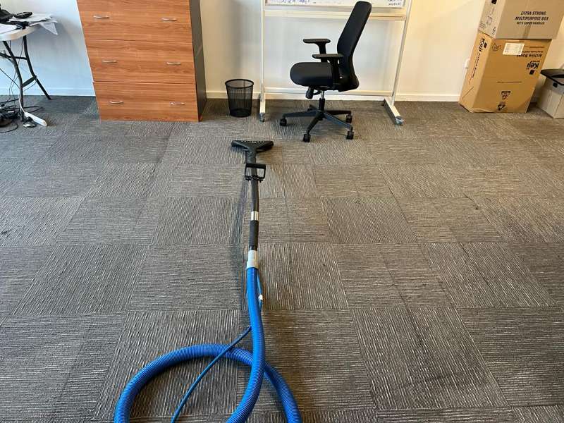 Discover the 5 Benefits of Professional Commercial Carpet Cleaning Services