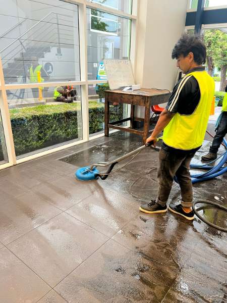 Proffesional medical cleaners