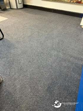 Regular carpet cleaning schedule