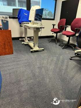 Professional deep cleaning and carpet cleaning