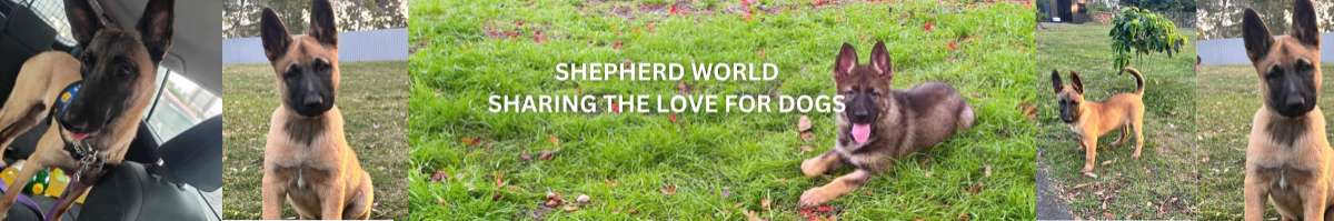 Shepherd World Australia Banner