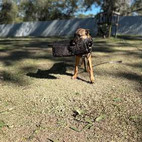 Shepherd World Australia