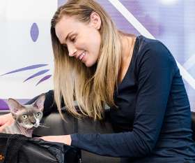 Ringwood Vet Hospital