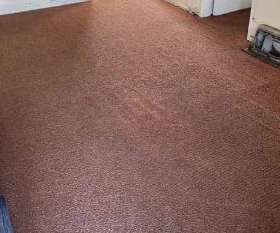 Carpet Cleaning Blacktown