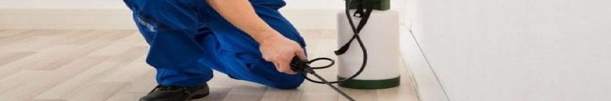 Pest Control Brisbane Aus Banner