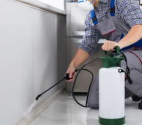 Pest Control Brisbane Aus