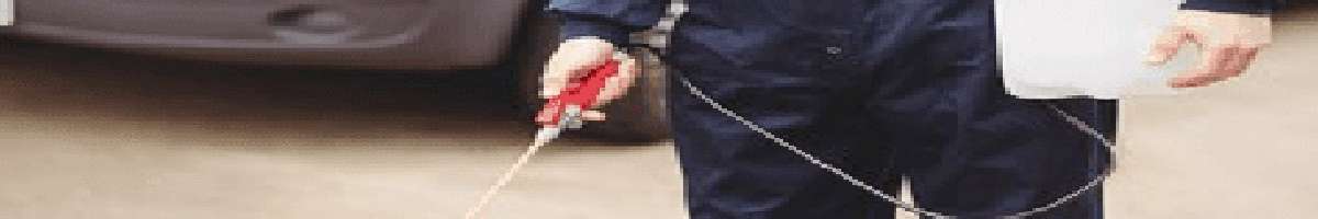 Pest Control Bendigo Banner