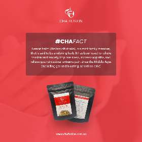 Cha Fusion