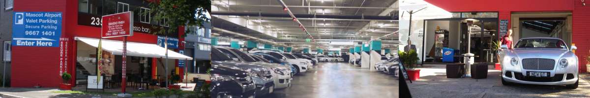 Mascot Airport Valet Parking Banner