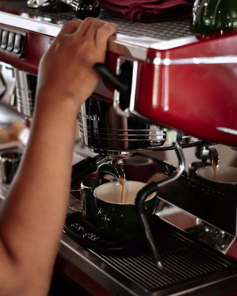 Jenis-Jenis Biji Kopi Terpopuler dan Terfavorit di Indonesia