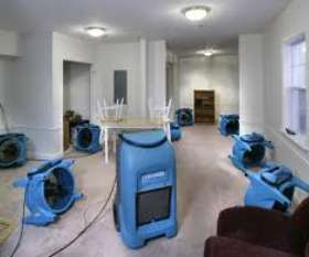 Carpet Water Damage Restoration | Capital Facility Services