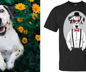 DOGE Wishlist Street Wear