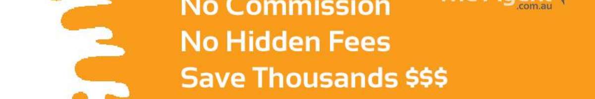 Minus The Agent Banner