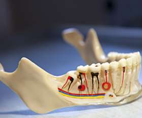 Mosman Dental Clinic