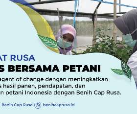 Sahabat Rusa