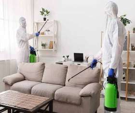 Pest Control Adelaide