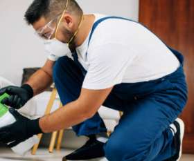 Pest Control Adelaide