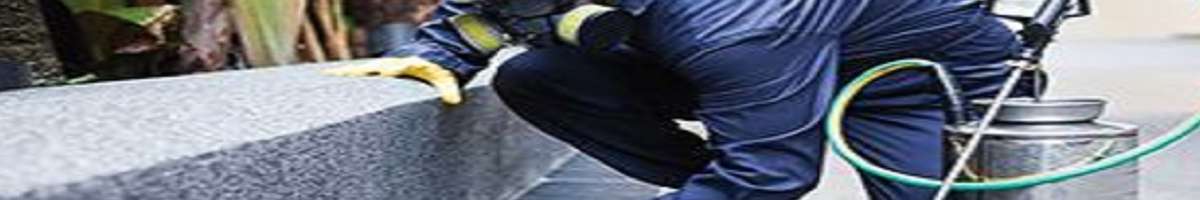 Bug Free Pest Control Banner