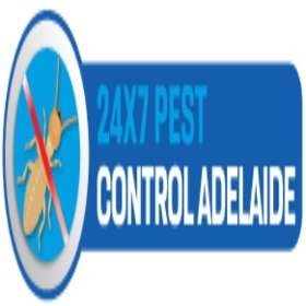 Termite Inspection Adelaide