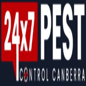 Wasp and Bee Removal Canberra