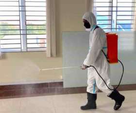 Wasp and Bee Removal Canberra