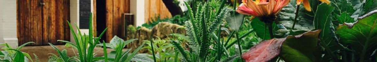 Perth City Farm Banner