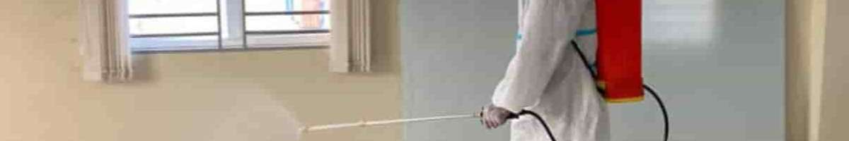 Ant Removal Hobart Banner