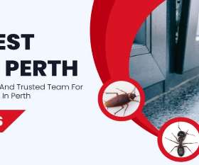 Flies Pest Control Perth