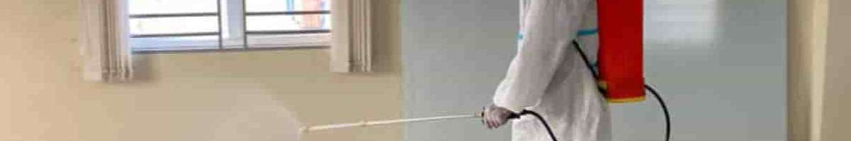 Bee Control Brisbane Banner