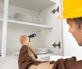 Bee Control Brisbane