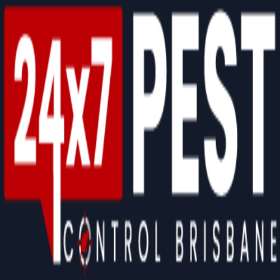Bee Control Brisbane