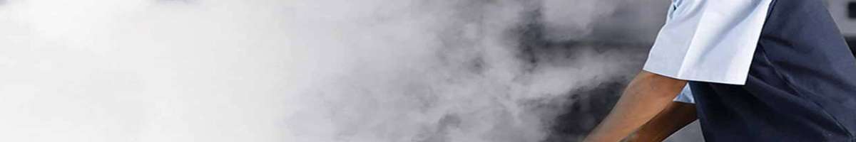 Flies Pest Control Melbourne Banner